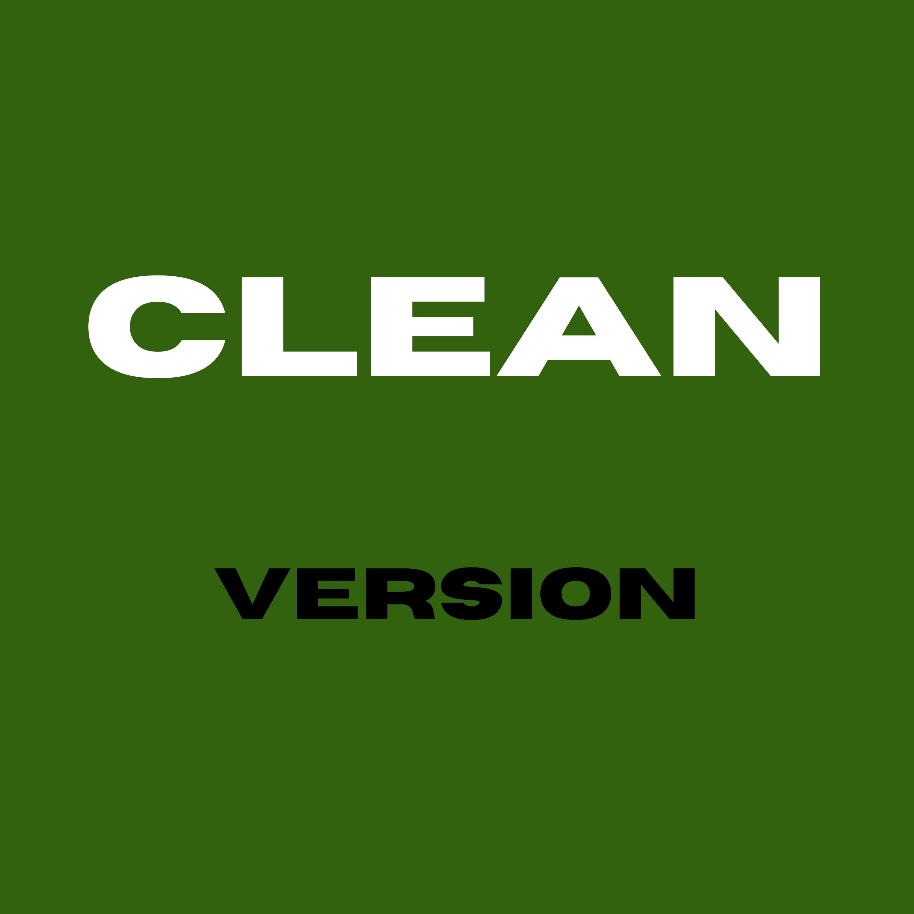 Clean Version (Add-On)